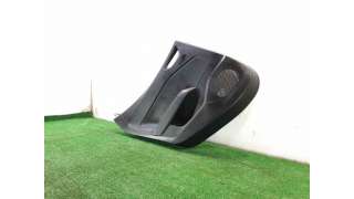 GUARNECIDO PUERTA TRASERA IZQUIERDA RENAULT CLIO V (2019-) 1.0 TCE 100 (B7MT) 101CV 999CC - L.7536124 / 829A11818R