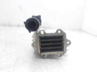 ENFRIADOR VALVULA EGR SEAT LEON (2005-2010) 1.9 TDI 105CV 1896CC - L.7547876 / 038131513AD