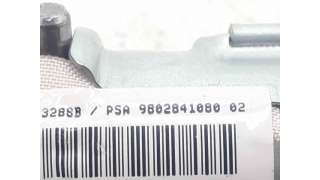 AIRBAG CORTINA DELANTERO IZQUIERDO CITROEN DS3 (2009-2015) 1.6 HDI 90 92CV 1560CC - L.7569866 / 9802841080