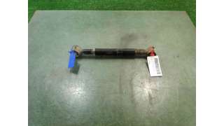 TIRANTE TRASERO IZQUIERDO LAND ROVER FREELANDER (2000-2006) 2.0 TD4 4X4 112CV 1951CC - L.7587114 / RGD000060