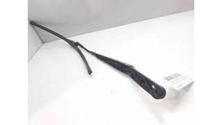 BRAZO LIMPIA DELANTERO IZQUIERDO VOLKSWAGEN PASSAT (2010-2014) 1.6 TDI 105CV 1598CC - L.7704363 / 3C1955409C