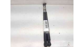 AMORTIGUADORES MALETERO / PORTON RENAULT SCÉNIC II (2003-2006) 1.9 DCI (JM0G, JM12, JM1G, JM2C) 120CV 1870CC - L.7791328 / 