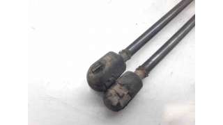 AMORTIGUADORES MALETERO / PORTON RENAULT CLIO II (2001-2016) 1.2 16V (BB05, BB0W, BB11, BB27, BB2T, BB2U, BB2V, CB05,... 75
