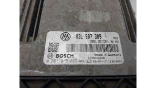 CENTRALITA MOTOR UCE VOLKSWAGEN GOLF VI (2008-2012) 2.0 TDI 110CV 1968CC - L.7838605 / 03L907309