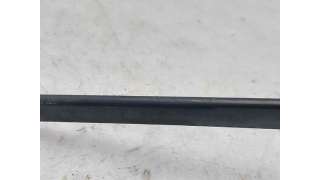 BRAZO LIMPIA DELANTERO IZQUIERDO RENAULT GRAND SCÉNIC III (2010-) 1.5 DCI 95CV 1461CC - L.7940535 / 288810003R