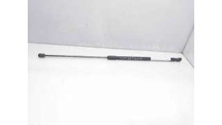 AMORTIGUADORES CAPO AUDI A6 (2004-2008) 2.0 TDI 140CV 1968CC - L.7941452 / 4F0823359B