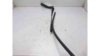 BRAZO LIMPIA DELANTERO IZQUIERDO BMW 3 (2012-) 16 D 116CV 1995CC - L.7960544 / 61617260469