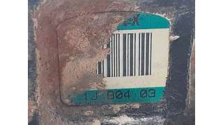 BOMBA DIRECCION FORD FOCUS (2001-2004) 1.8 TDCI 115CV 1753CC - L.7961674 / 1371089