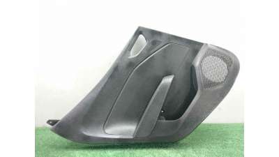 GUARNECIDO PUERTA TRASERA IZQUIERDA RENAULT CLIO V (2019-) 1.0 TCE 100 (B7MT) 101CV 999CC - L.7966573 / 829A11818R