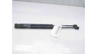 AMORTIGUADORES MALETERO / PORTON CHEVROLET CAPTIVA (2011-) 2.2 D 163CV 2231CC - L.7970388 / 95494361