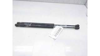 AMORTIGUADORES MALETERO / PORTON CHEVROLET CAPTIVA (2011-) 2.2 D 163CV 2231CC - L.7970388 / 95494361