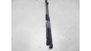 AMORTIGUADORES MALETERO / PORTON RENAULT CLIO II (1998-2009) 1.2 LPG 58CV 1149CC - L.7994132 / 7700842256