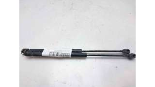 AMORTIGUADORES MALETERO / PORTON RENAULT CLIO II (1998-2009) 1.2 LPG 58CV 1149CC - L.7994132 / 7700842256