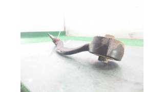 BRAZO SUSPENSION INFERIOR DELANTERO DERECHO LAND ROVER RANGE ROVER SPORT (2013-) 3.0 D 4X4 258CV 2993CC - L.8007897 / JPLA3