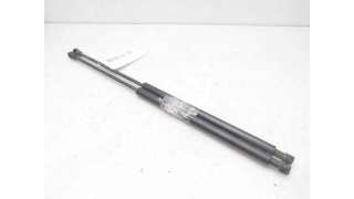 AMORTIGUADORES MALETERO / PORTON NISSAN X-TRAIL (2001-2013) - L.8017041 / 904518H31A