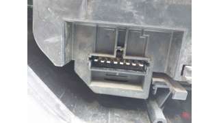 PILOTO TRASERO IZQUIERDO OTROS VEHICULOS - L.8019740 / 7700815979