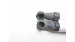 AMORTIGUADORES CAPO LAND ROVER RANGE ROVER SPORT (2006-2013) 3.6 D 4X4 272CV 3628CC - L.8039017 / 8M2216E6610