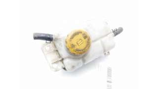 DEPOSITO EXPANSION CHEVROLET AVEO / KALOS FASTBACK (2008-) 1.2 84CV 1206CC - L.8048667 / 96930818