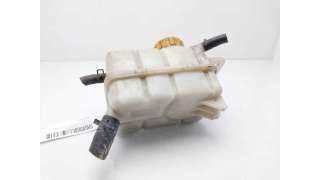 DEPOSITO EXPANSION CHEVROLET AVEO / KALOS FASTBACK (2008-) 1.2 84CV 1206CC - L.8048667 / 96930818