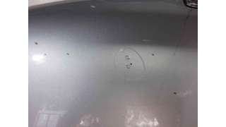 CAPOT PEUGEOT 406 COUPÉ (2000-2004) 3.0 V6 207CV 2946CC - L.8053328 / 7901J2