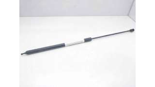 AMORTIGUADORES CAPO RENAULT MEGANE III FASTBACK (2009-) 1.5 DCI (BZ09, BZ0D) 110CV 1461CC - L.8054463 / 654710003R