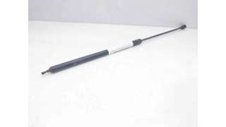 AMORTIGUADORES CAPO RENAULT MEGANE III FASTBACK (2009-) 1.5 DCI (BZ09, BZ0D) 110CV 1461CC - L.8054463 / 654710003R