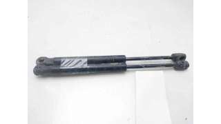 AMORTIGUADORES CAPO JEEP GRAND CHEROKEE II (1999-2001) 3.1 TD 4X4 140CV 3125CC - L.8059016 / 55352897AB