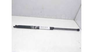 AMORTIGUADORES MALETERO / PORTON PEUGEOT 406 (1998-2001) 2.0 HDI 110 109CV 1997CC - L.8061338 / 08410550