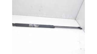 AMORTIGUADORES MALETERO / PORTON PEUGEOT 406 (1998-2001) 2.0 HDI 110 109CV 1997CC - L.8061338 / 08410550