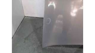 CAPOT RENAULT MEGANE II (2002-2008) 1.5 DCI (BM0F, BM0T, BM2B, CM0F, CM0T) 82CV 1461CC - L.8069073 / 7751476151