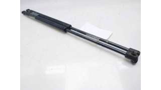 AMORTIGUADORES MALETERO / PORTON RENAULT SCÉNIC II (2003-2006) 1.9 DCI (JM0G, JM12, JM1G, JM2C) 120CV 1870CC - L.8073074 / 