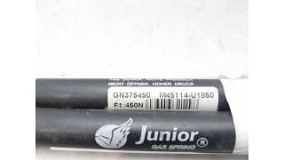 AMORTIGUADORES MALETERO / PORTON CITROEN C6 (2005-2011) 2.7 HDI 204CV 2720CC - L.8089023 / J48113U1997