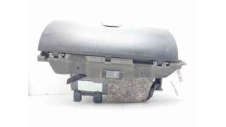 GUANTERA CITROEN C6 (2005-2011) 2.7 HDI 204CV 2720CC - L.8089118 / 96520171ZD