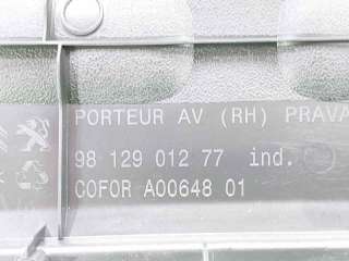 GUARNECIDO PUERTA DELANTERA DERECHA CITROEN C3 II (2012-2016) 1.2 VTI 82 82CV 1199CC - L.8090424 / 9812901277