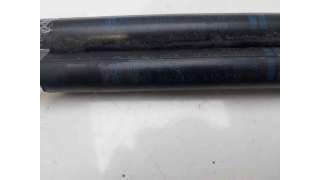 AMORTIGUADORES MALETERO / PORTON FORD ESCORT VI (1993-1995) 1.8 TD 90CV 1753CC - L.8093757 / 93ABA406