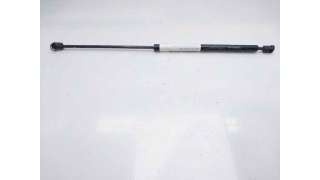 AMORTIGUADORES CAPO CITROEN XSARA (1999-2005) 2.0 HDI 90 90CV 1997CC - L.8098534 / 08550450