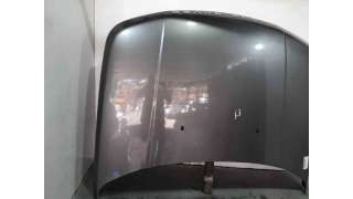 CAPOT LAND ROVER RANGE ROVER SPORT (2006-2013) 3.6 D 4X4 272CV 3628CC - L.8107363 / BKA790050