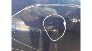PUERTA TRASERA DERECHA DACIA LOGAN (2006-) 1.5 DCI (LS0K) 68CV 1461CC - L.8122981 / 821002232R