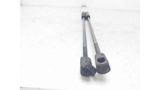 AMORTIGUADORES MALETERO / PORTON FIAT CROMA (2005-2011) 1.9 D MULTIJET (194AXC1B, 194AXC12) 150CV 1910CC - L.8123389 / 0000