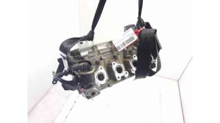 CULATA VOLKSWAGEN POLO (1996-1999) 50 1.0 50CV 999CC - L.8131161 / 030103265TX