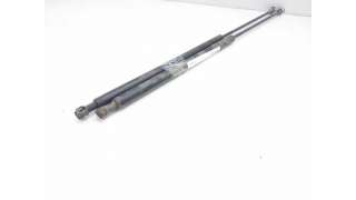 AMORTIGUADORES MALETERO / PORTON PEUGEOT 306 (1994-2001) 1.9 SRDT 90CV 1905CC - L.8132131 / 9629219580