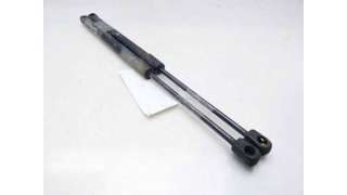 AMORTIGUADORES CAPO CHEVROLET CAPTIVA (2007-) 2.0 D 150CV 1991CC - L.8140086 / 96830124