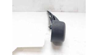 BRAZO LIMPIA TRASERO FORD FOCUS III (2012-) 1.0 ECOBOOST 125CV 998CC - L.8149025 / 1786268