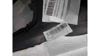 GUARNECIDO PUERTA TRASERA DERECHA FORD FOCUS III (2012-) 1.0 ECOBOOST 125CV 998CC - L.8149097 / F1EBA27406EB1F50