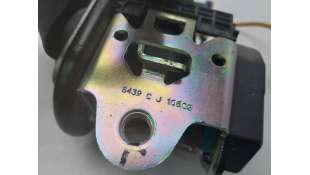 CINTURON SEGURIDAD DELANTERO DERECHO VOLKSWAGEN TOUAREG (2002-2010) 5.0 V10 TDI 313CV 4921CC - L.8165800 / 7L0857706D 2