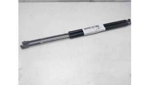 AMORTIGUADORES MALETERO / PORTON BMW X5 (2003-2006) 3.0 D 218CV 2993CC - L.8167507 / 51248402405