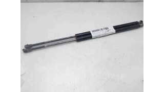 AMORTIGUADORES MALETERO / PORTON BMW X5 (2003-2006) 3.0 D 218CV 2993CC - L.8167507 / 51248402405