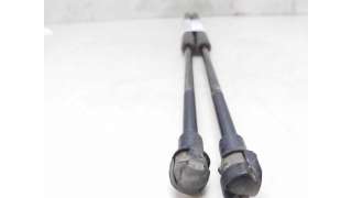 AMORTIGUADORES MALETERO / PORTON BMW X5 (2003-2006) 3.0 D 218CV 2993CC - L.8167507 / 51248402405