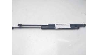 AMORTIGUADORES MALETERO / PORTON OPEL ZAFIRA B (2005-2012) 1.6 (M75) 105CV 1598CC - L.8168137 / 13128759