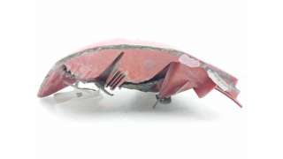 PILOTO TRASERO DERECHO TOYOTA AURIS (2006-2012) - L.8172416 / 8155102550